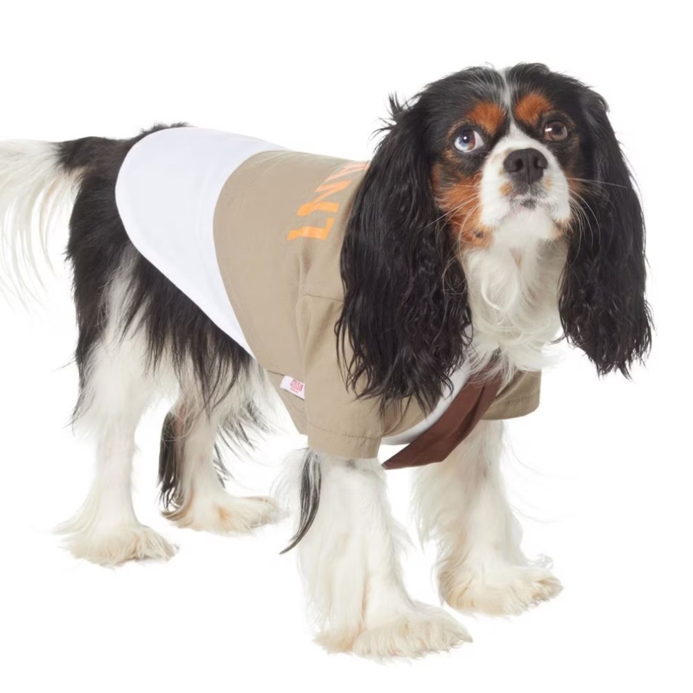 New Marvel Loki Variant Dog Costume XS